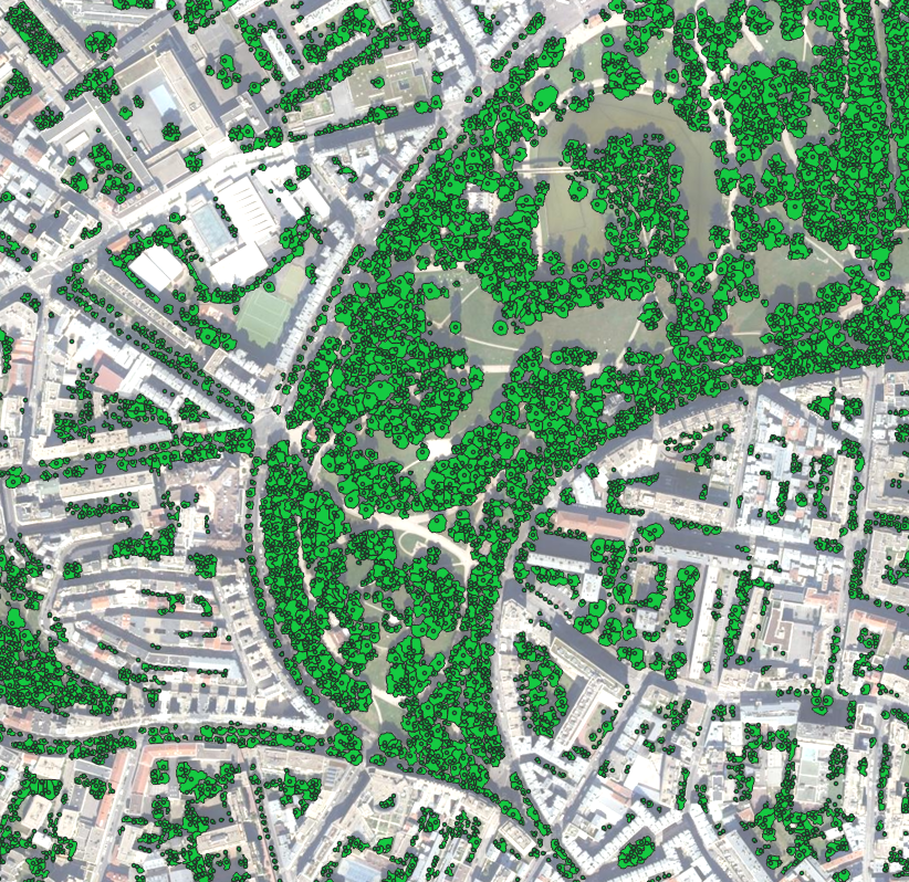 🌳 AI Solutions for Tree Detection (Beta Available in Paris)