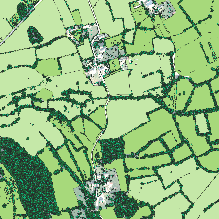 🍀 Soon a Complete Vegetation Digital Twin For France
